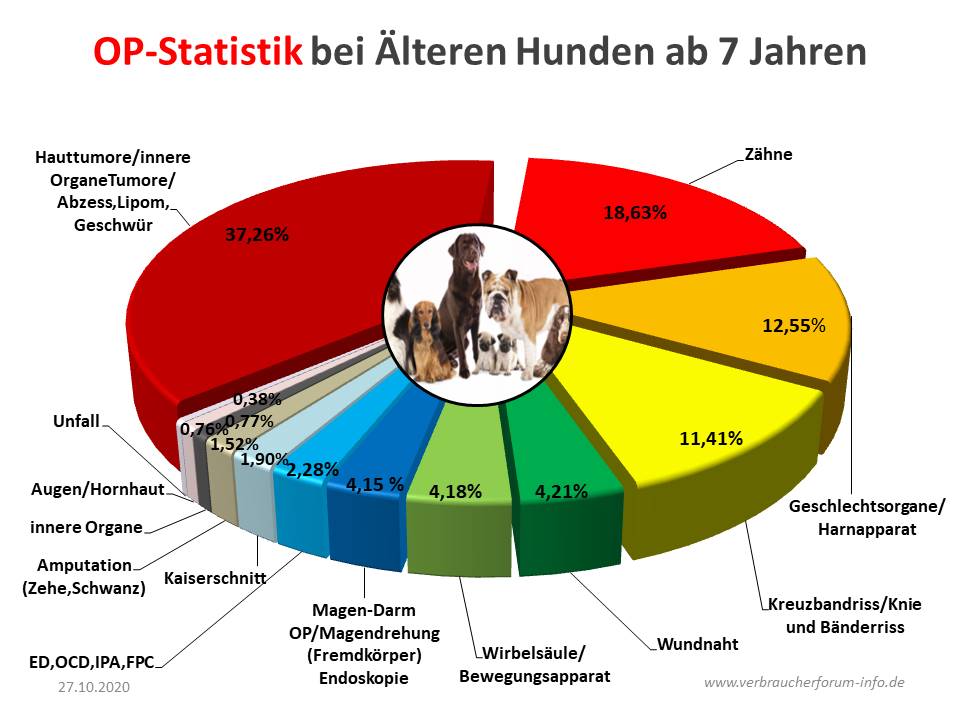 OP Statistik für ältere Hunde