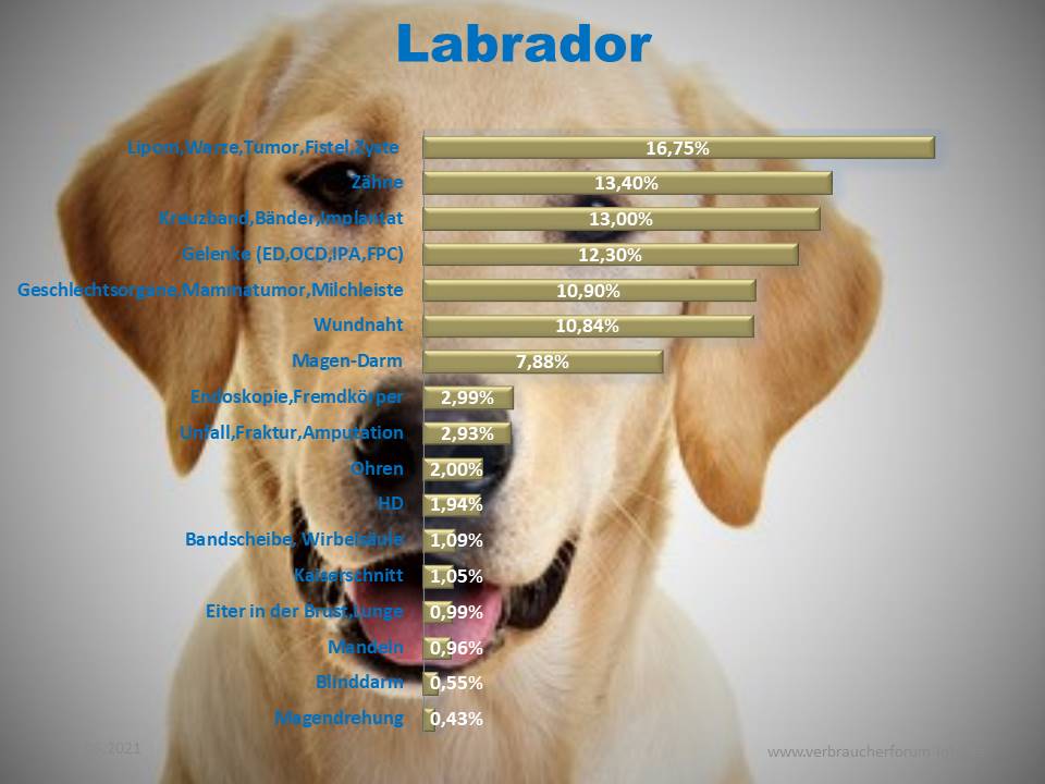 Operationen und Krankheiten Statistik beim Labrador