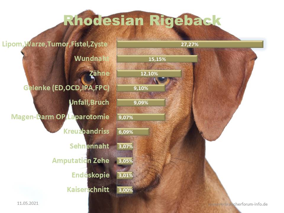 Statistik über die häufigsten Operationen beim Rhodesian Ridgeback