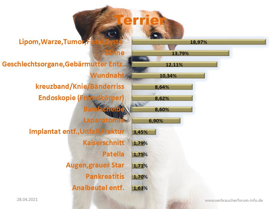 Statistik über häufige Operationen beim Jack Russel Terrier