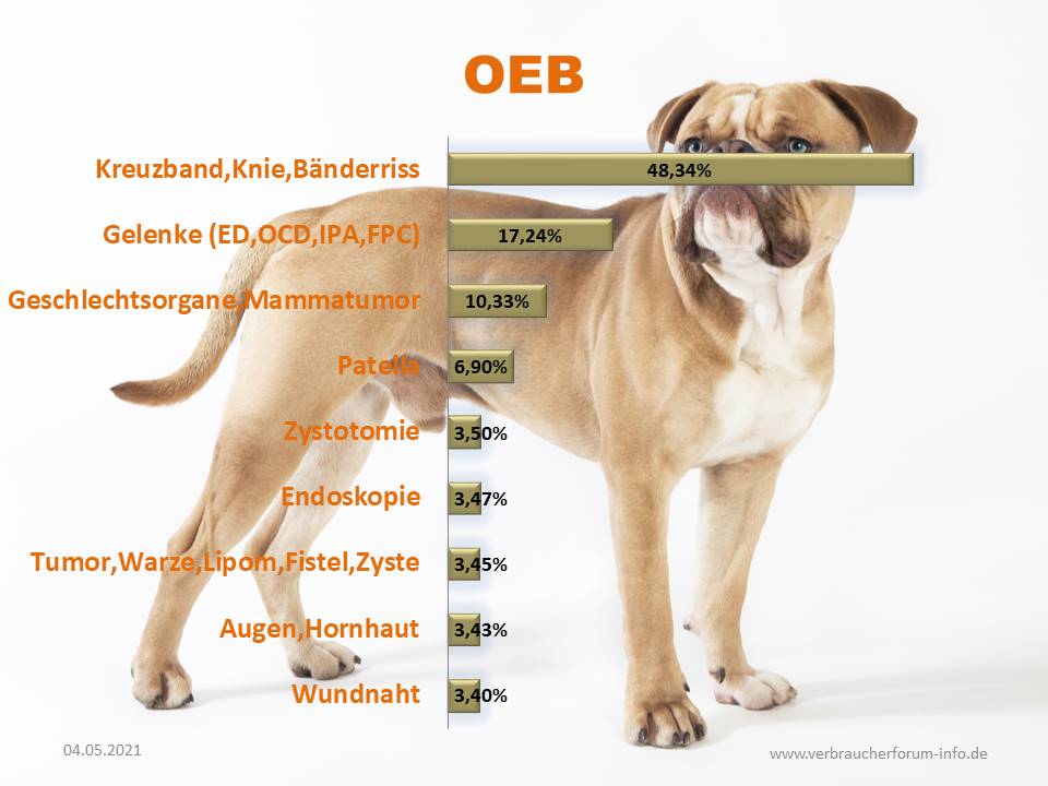 OP Statistik Olde English Bulldog