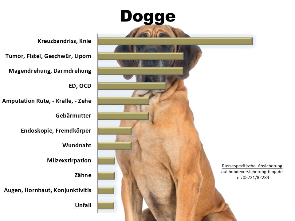 Statistik über häufige Operationen bei der Dogge