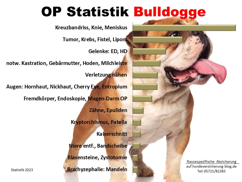 Statistik über häufige Operationen der Old English Bulldog