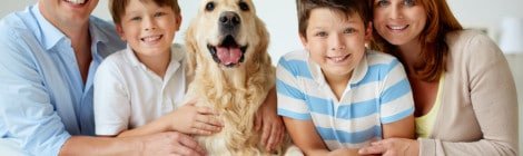 Hundekrankenversicherung