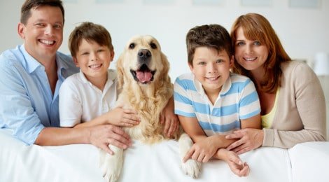 Hundekrankenversicherung