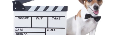 Hundeversicherung Video