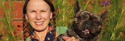 Tierarztkosten französische Bulldogge