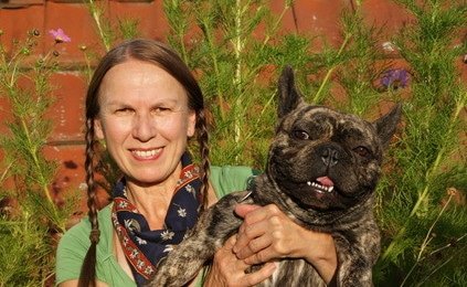 Tierarztkosten französische Bulldogge