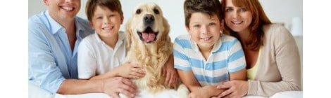 Hundekrankenversicherung sinnvoll