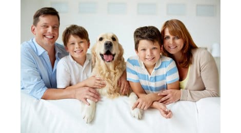 Hundekrankenversicherung sinnvoll