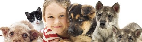 Hundeversicherung für Welpen