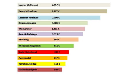 Hundekrankenversicherung Statistik