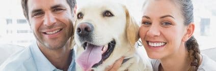 Der treue Labrador ist ein Freund fürs Leben. Schützen Sie Ihren Vierbeiner daher mit einer guten Hundeversicherung für Labrador!