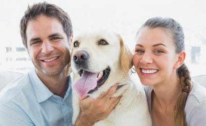 Der treue Labrador ist ein Freund fürs Leben. Schützen Sie Ihren Vierbeiner daher mit einer guten Hundeversicherung für Labrador!
