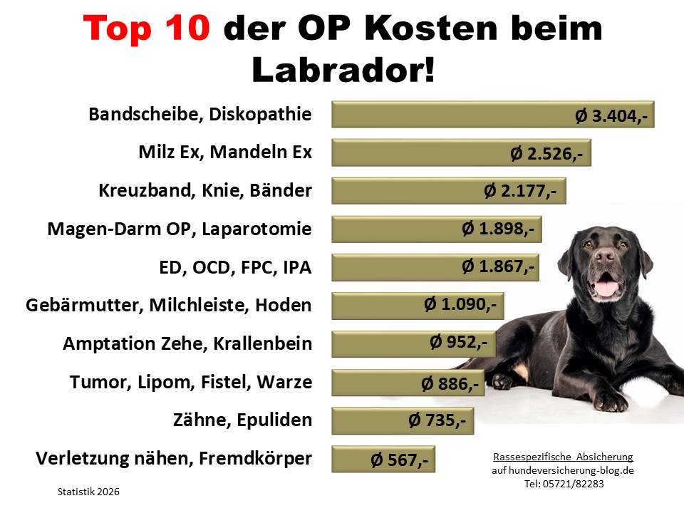 Kosten Statistik: Hunde-OP Versicherung für Labrador Krankheiten