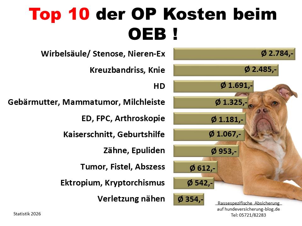 Kosten Statistik: Hunde-OP Versicherung für Old English Bulldog Krankheiten