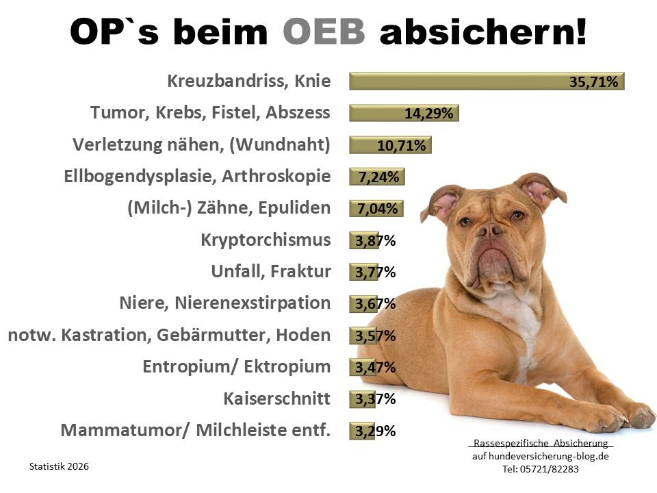 Hunde-OP Versicherung für Old English Bulldog Krankheiten