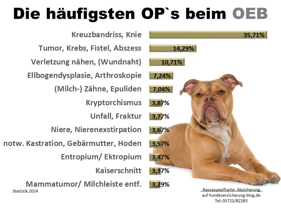 Hunde-OP Versicherung für Old English Bulldog Krankheiten