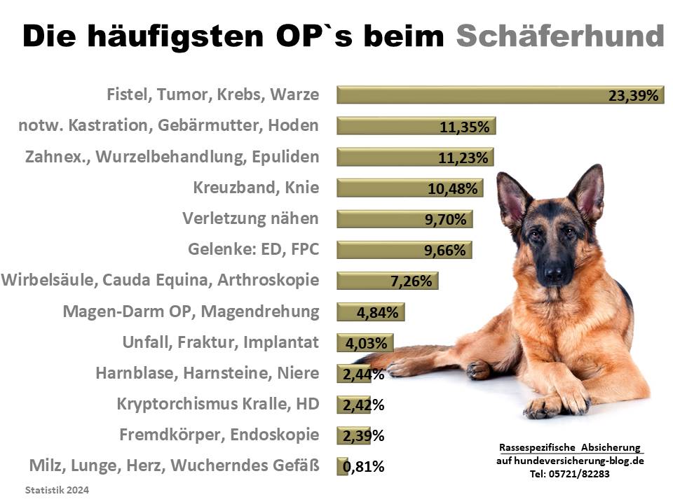 Hunde-OP Versicherung für Schäferhund Krankheiten