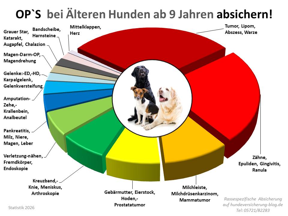 Statistik zur Hunde-OP Versicherung für ältere Hunde