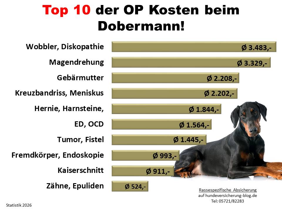 Hunde-OP Versicherung für Dobermann Krankheiten und Tierarztkosten