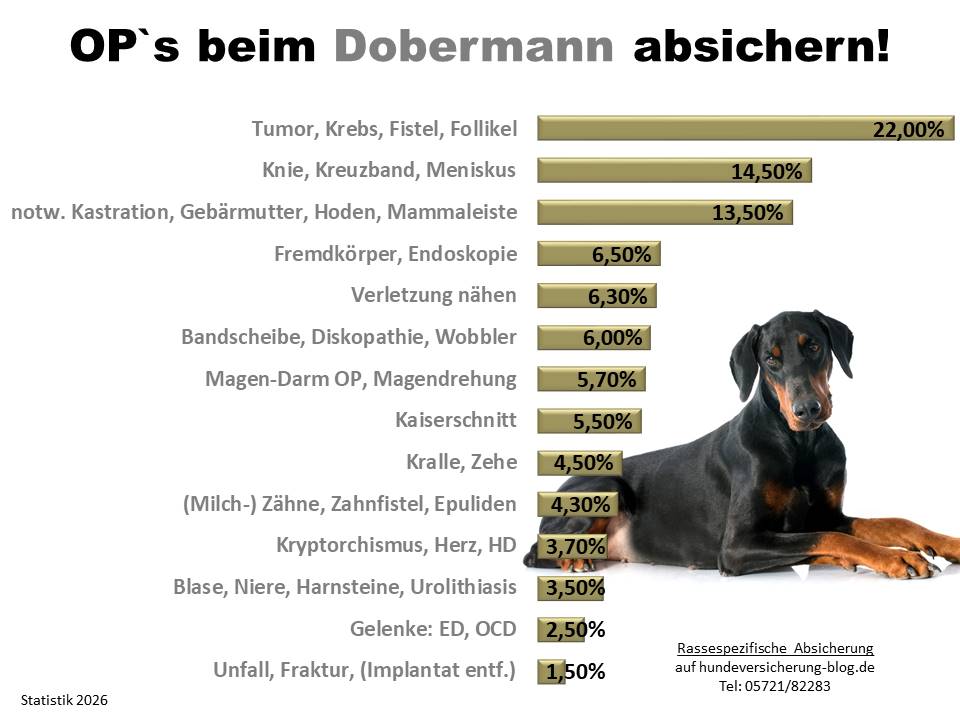 Hunde-OP Versicherung für Dobermann Krankheiten und Tierarztkosten