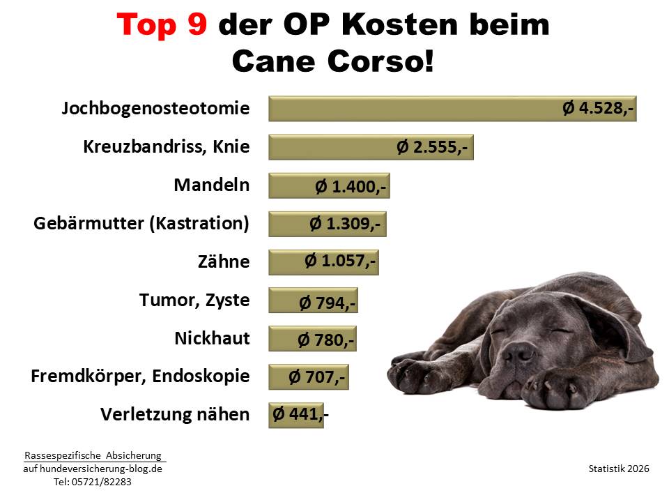 Kosten Statistik: Hunde-OP Versicherung für Cane Corso Krankheiten