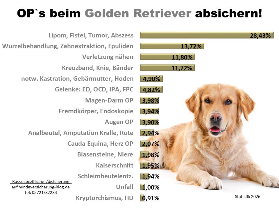 Hunde-OP Versicherung für Golden Retriever Krankheiten und Tierarztkosten
