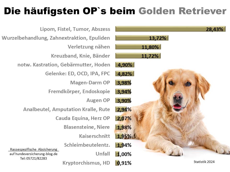 Hunde-OP Versicherung für Golden Retriever Krankheiten