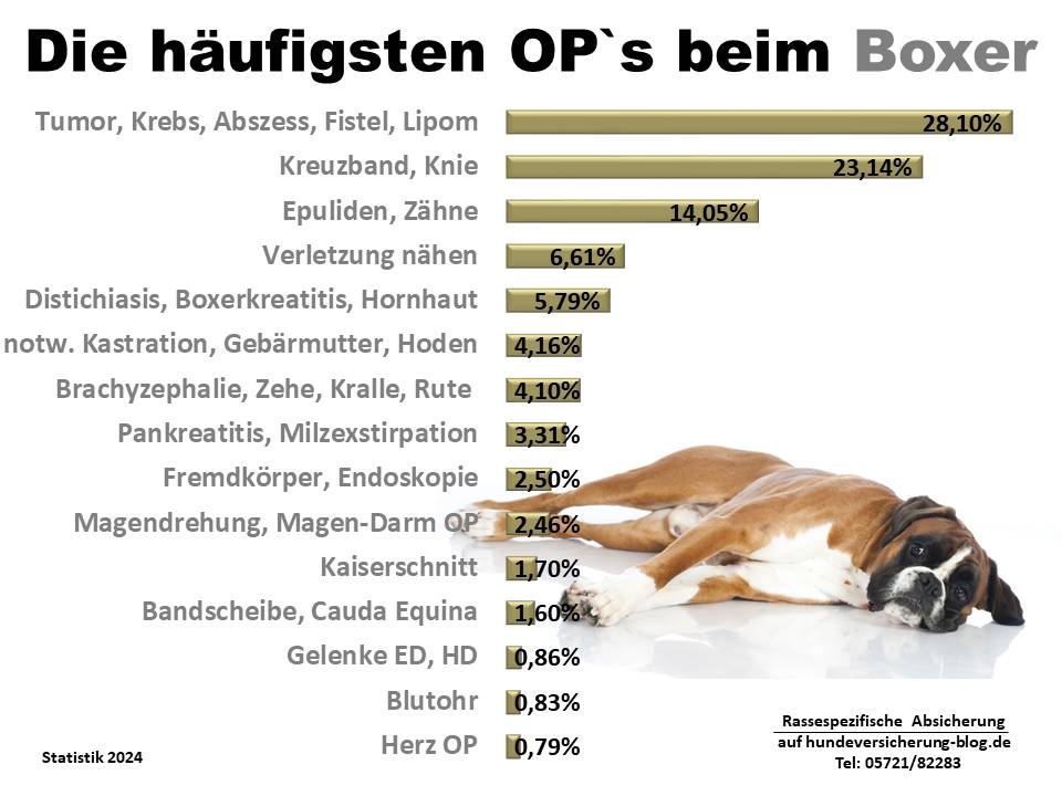 Hunde-OP Versicherung für Boxer Krankheiten