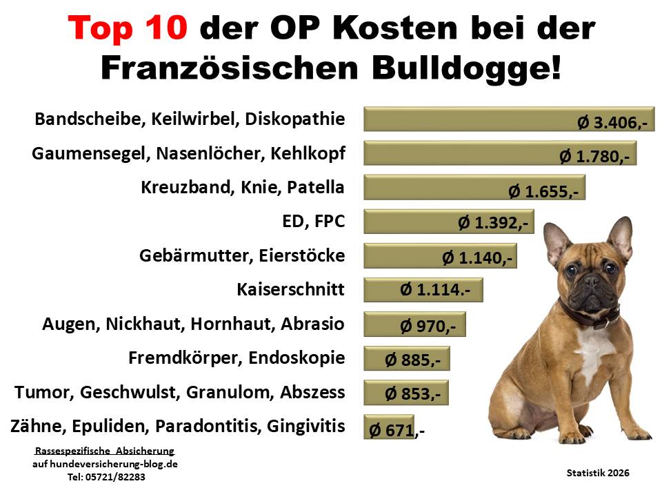 Kosten Statistik: Hunde-OP Versicherung für Französische Bulldogge Krankheiten