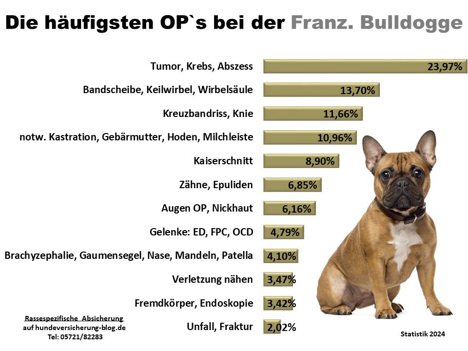 Hunde-OP Versicherung für Französische Bulldogge Krankheiten