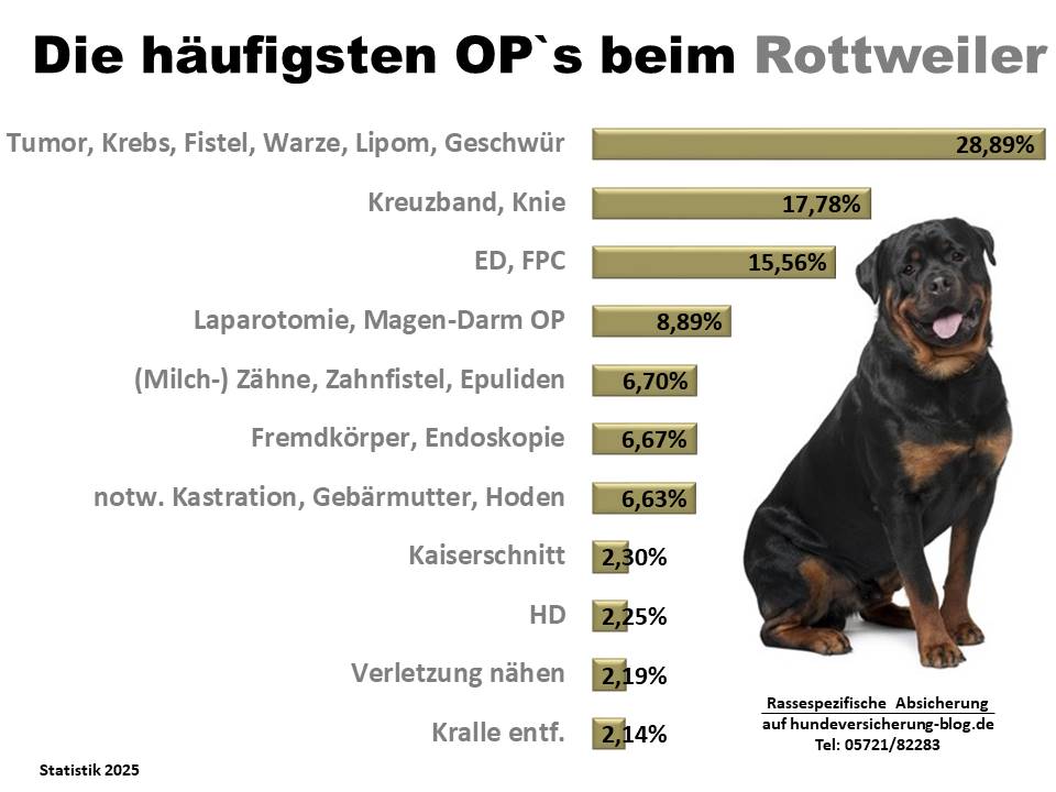 Hunde-OP-Versicherung für Rottweiler Krankheiten und Operationen