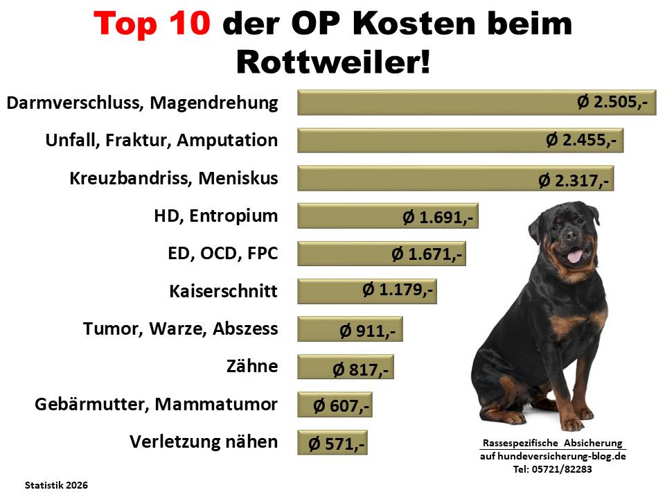 Hunde-OP Versicherung für Rottweiler Krankheiten und Operationen